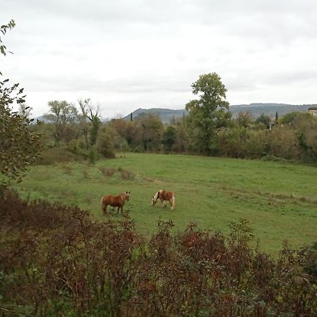 Lavilledieu  Maison Sud Ardeche Lavilledieu מראה חיצוני תמונה